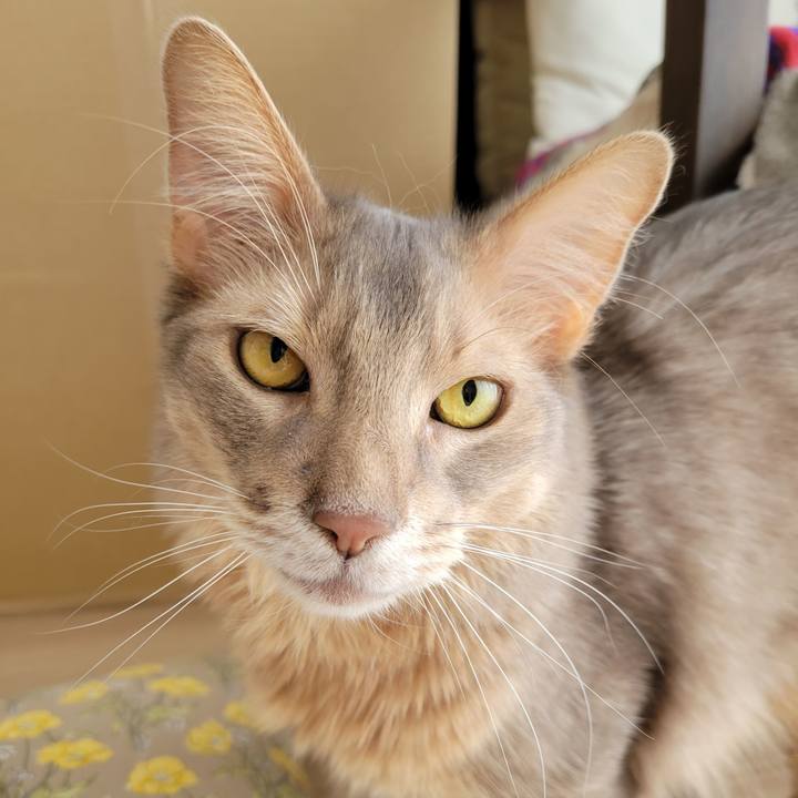 Fb51b580 b1a7 443b a07b 48f08f937f3d 1643422588209