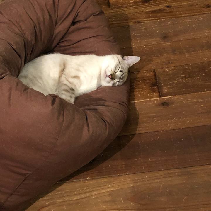 Fb5257fe fd45 4fb9 883c 391c3b7b51cc 1736593029089