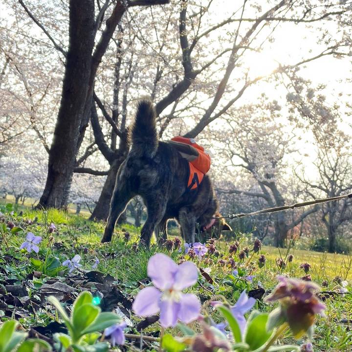 Fb528957 b0ce 46ad adfe e8350e3b5ba1 1617416666661