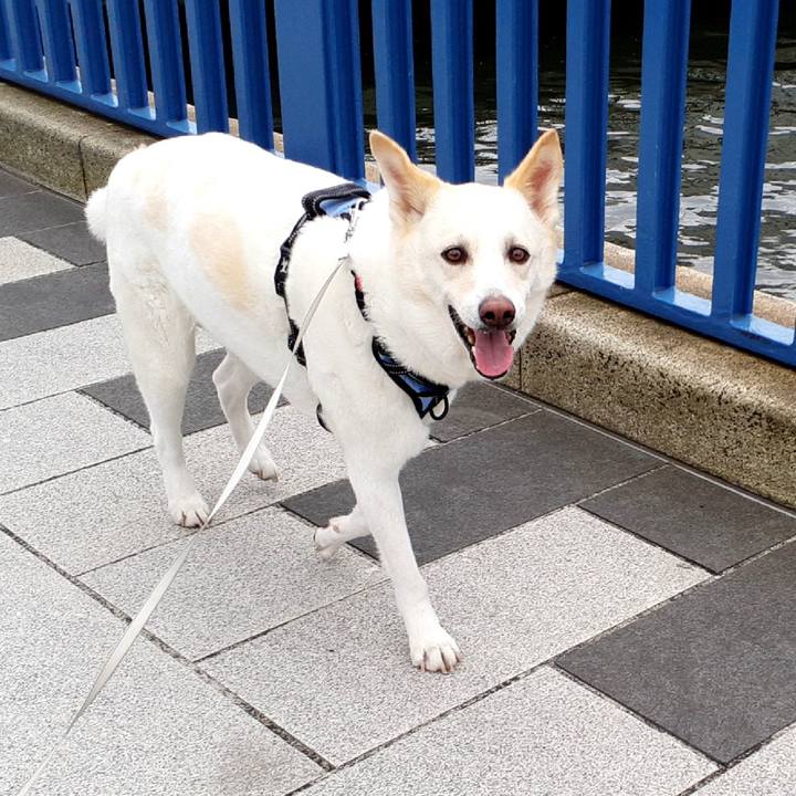 Fb529f18 bbb1 49b0 8213 d341531f4eb5 1652588959105