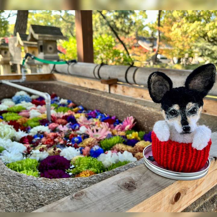 Fb52c578 ebf7 46ca 8a56 07ef00f684cc 1668243921347