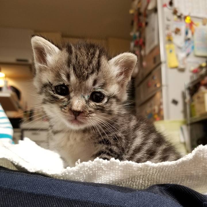 Fb52ce0b 935d 47b4 be93 19438d2923b0 1660047304986