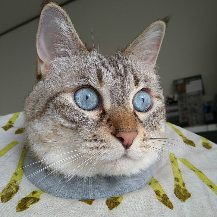 Fb52e1e7 cc9c 4a6b ad0a c5cad5d51231 1692396617525