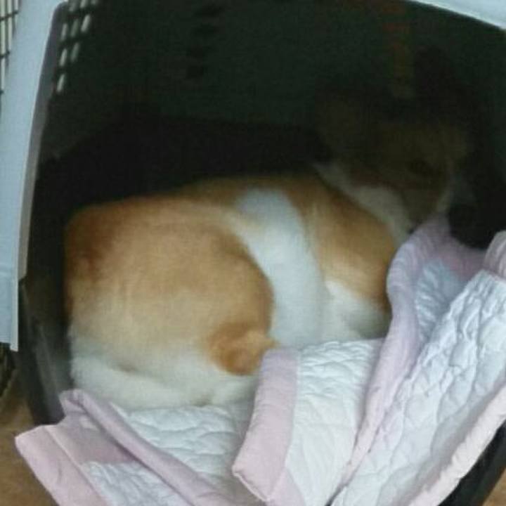 Fb52ef23 40de 433e 8647 da1a48f51604 1527916392672