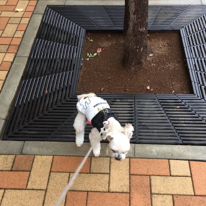 Fb52fde8 f2dc 49bf 9d13 a8c2c1ef80d2 1538288654022