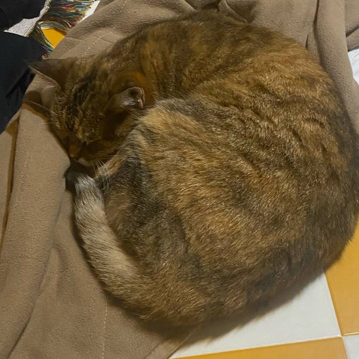 Fb532c4a b116 4e45 b95e 519a884bcc26 1730490048449