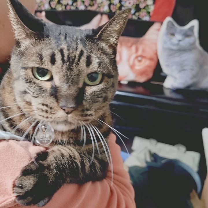 Fb533006 2bd2 42ae b676 29adc1aae0cd 1773323855055