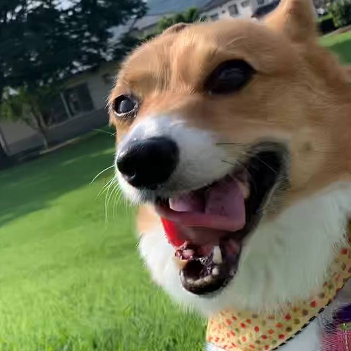 Fb5362e6 ec45 44aa 8fde 03278089c70d 1656459495816