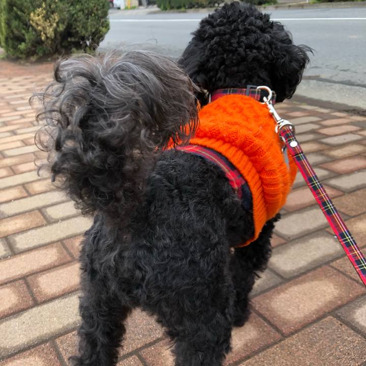 Fb538ab2 bcf5 4abc 8311 6465a75c6901 1554189953472