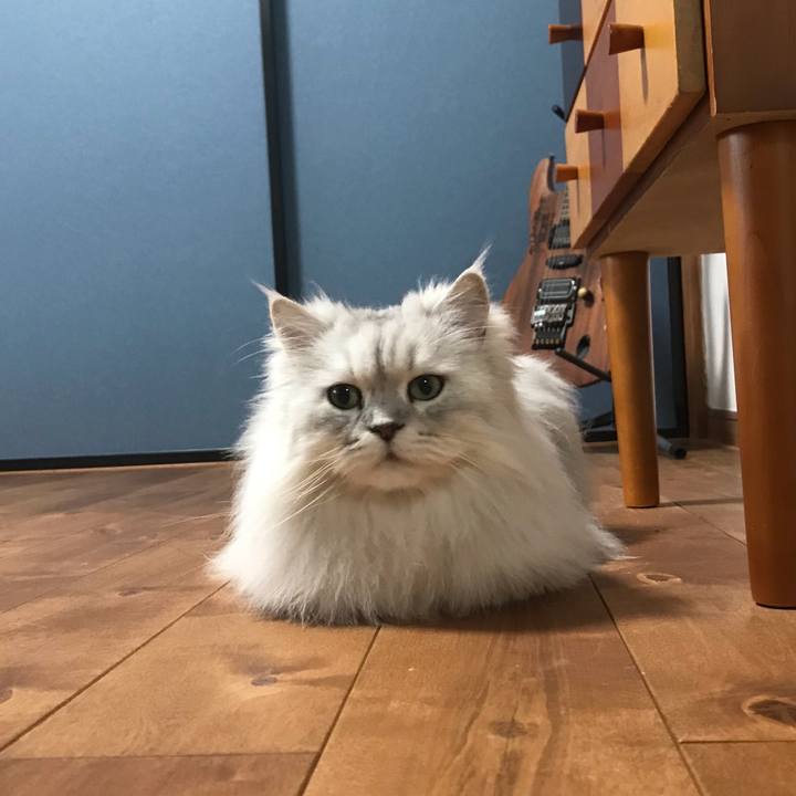 Fb53913e b625 44f2 959c 6ad92ea1bd29 1617437819017