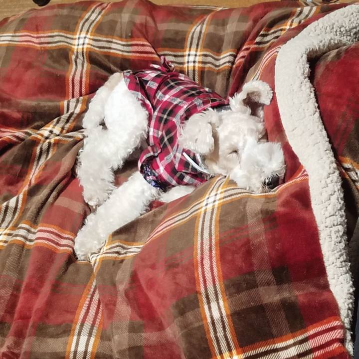 Fb54015c f761 4295 88e4 d86c080d04d0 1555603479913