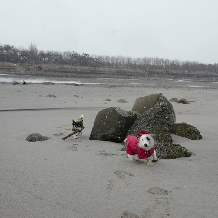 Fb5456d5 f52d 4bfd 95a0 79a25ba3db10 1519533878901