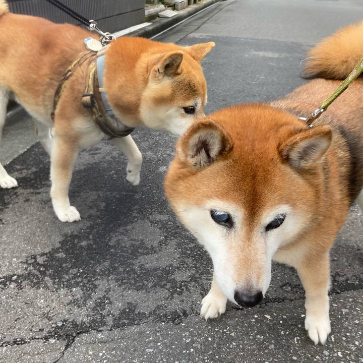 Fb54803a ff11 43f2 8f5e 74435c35f608 1685760366265