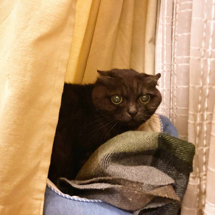 Fb548778 86e6 483f 8048 19c4ebc96a45 1643951938969