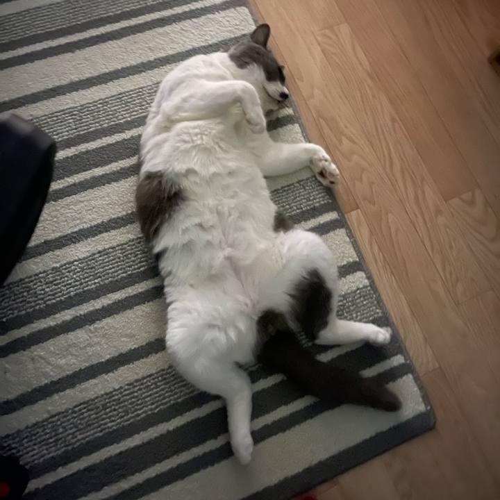 Fb54a8bd 694c 4375 913b 78a5b4bd9e58 1755610412028