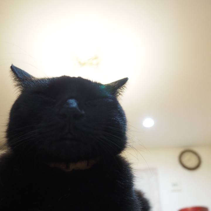 Fb54cad4 0a6a 4bde 90a4 93ef67210979 1539785383087