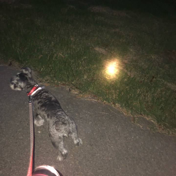 Fb54e330 c378 4b83 a962 669b0c16576c 1568453756870