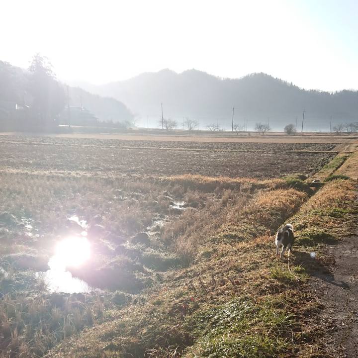 Fb550231 7b85 4399 bc79 491a942c0fb4 1613962336078