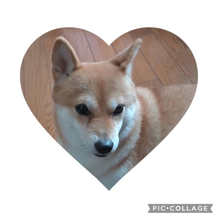 Fb551a5e 7235 4939 826a d0cac6c76f12 1695020583162