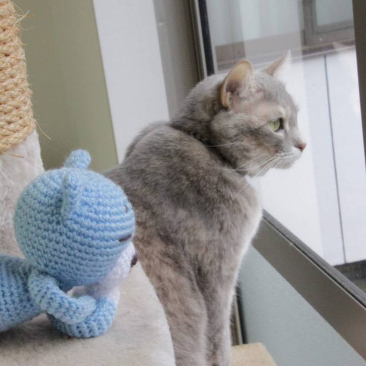 Fb551fa9 4c36 4f2c b569 fd747a7c9b70 1575425746580