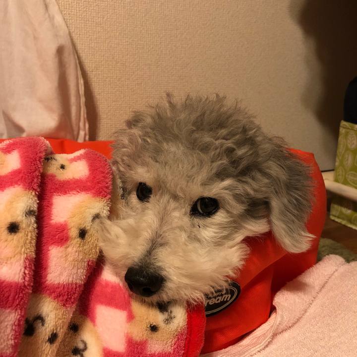 Fb5551d7 2dc8 4c80 90ac 2b040088fc5d 1526512301129