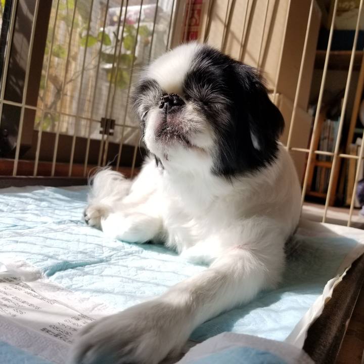 Fb555ad2 95cb 438a b2a1 ffaabeab5327 1572751625927