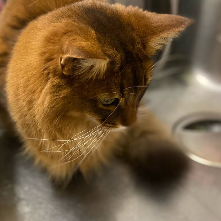 Fb558bf8 f6a8 4d00 8552 23890c8d9002 1677659218333