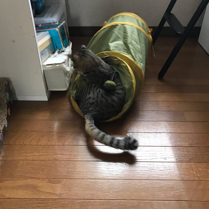 Fb55b7ef c7ef 4e3d 96c7 dc1e2aefe0f5 1571178880236