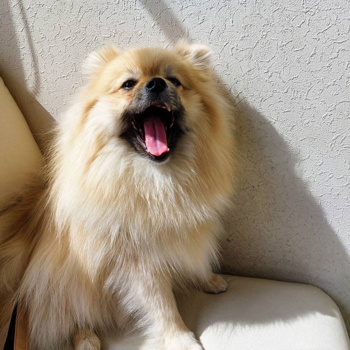 Fb55c72e e59b 490b a528 53b1a0c47516 1648180711754