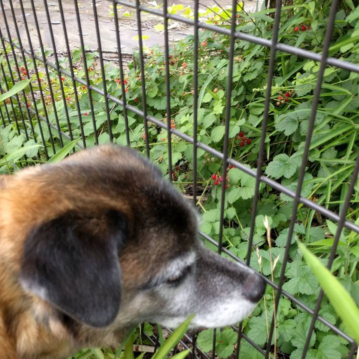 Fb55f12b 5e05 4205 8258 9ba69926f894 1529280718452