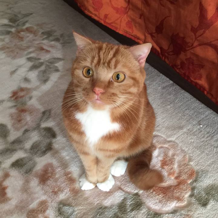 Fb5603b6 dfa9 4e27 b1f8 200dc0e60a96 1544572935065