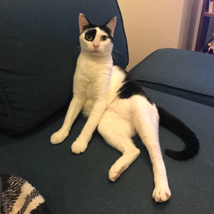 Fb561dc1 8df2 4b62 97c1 bf1c18e1b20c 1534169664341