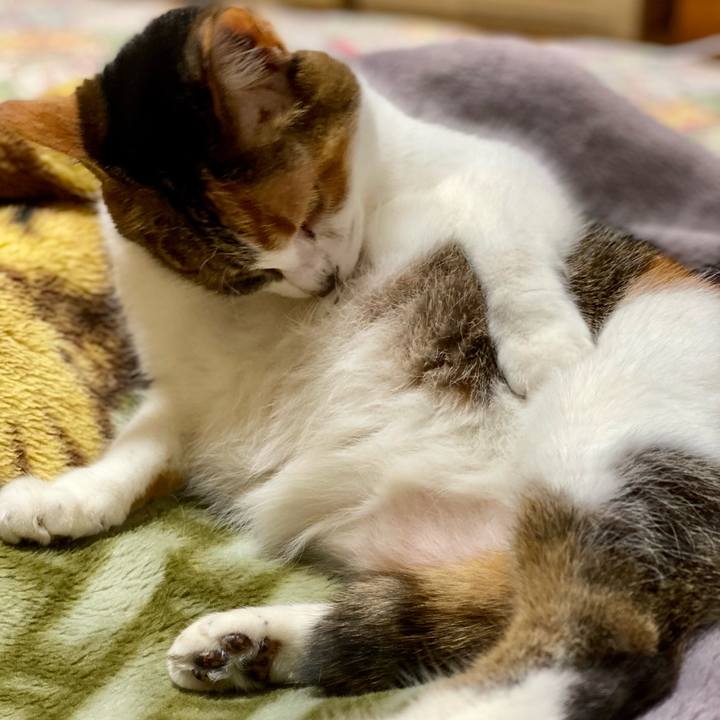 Fb5629b9 cdcf 415f 8ceb 715b12cb97cf 1618100018021