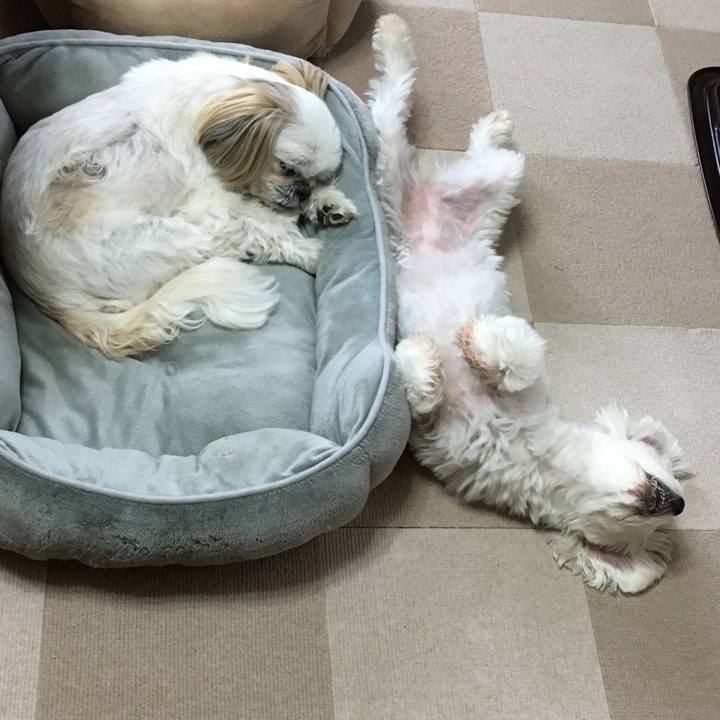 Fb5633dd 765e 4938 99ce 6b75b0bea9fa 1587209735335