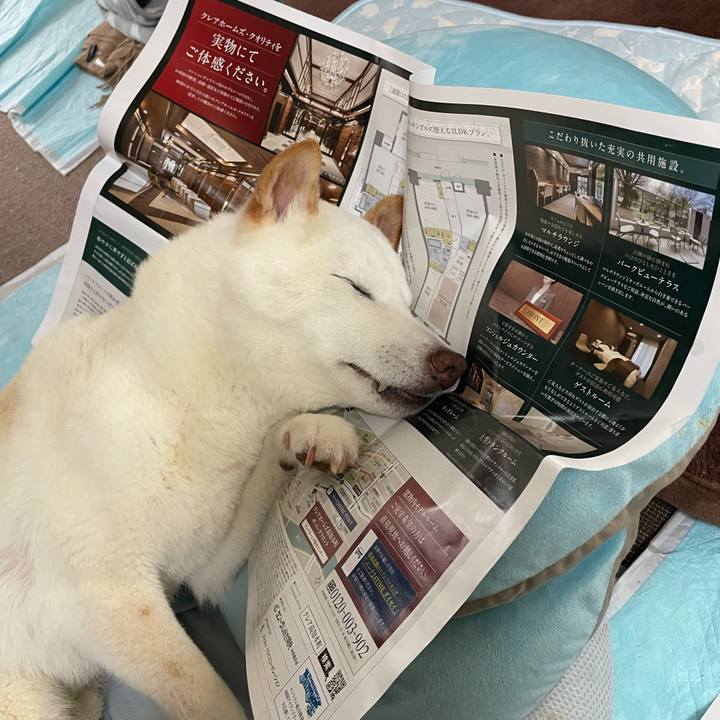 Fb567838 f117 47e8 b7a0 70e827040597 1655971194401