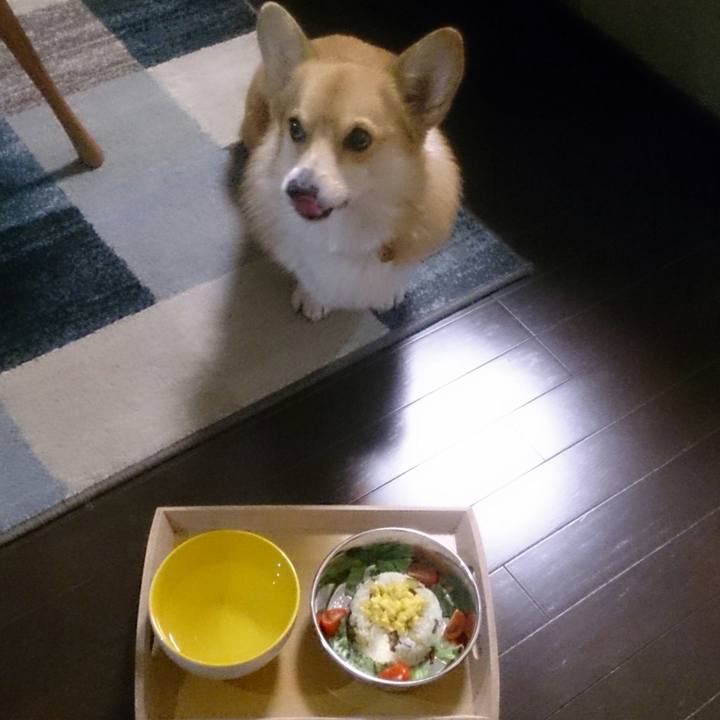 Fb56d5e2 532e 48e5 89a7 3f1bc9f99b7d 1514122520861