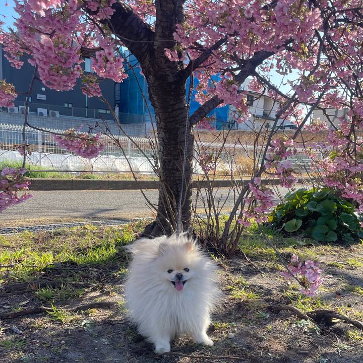 Fb5721e5 061d 4df9 8eda 71dca57345cb 1709433430389