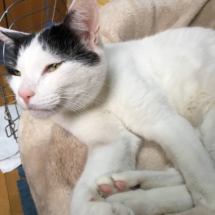 Fb575fda 6086 4c64 9ce2 8a49dc62ae6e 1525280669782