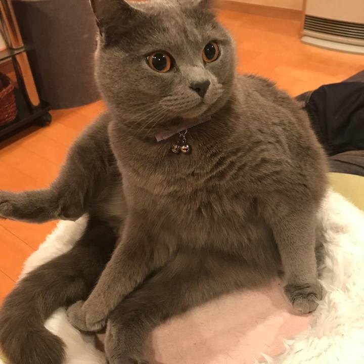 Fb578e8b 958b 4b09 8398 172a8ac13973 1614210274479