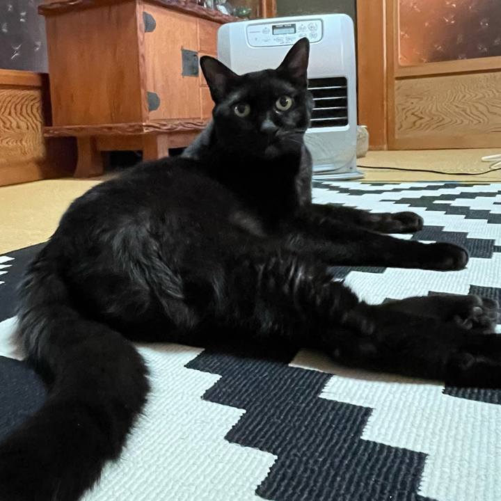 Fb57cf99 b408 4211 aa0a 45cf863de2c5 1765931779654