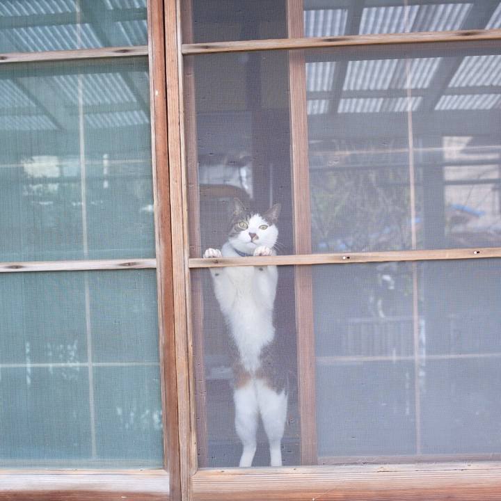 Fb57f97d 539c 4112 a999 a93f16afcada 1548071092244