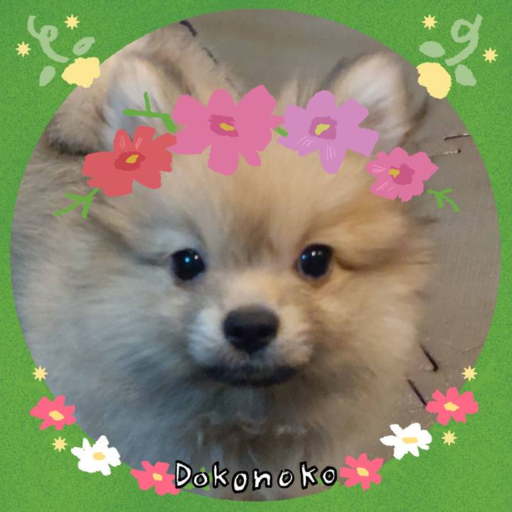 Fb57f9ea a85b 4876 a683 50577555bf0f 1726807468075