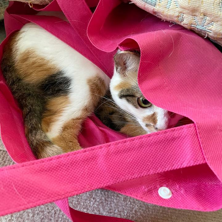 Fb57ff77 24df 4861 aef0 21adcd5e8695 1632124934306