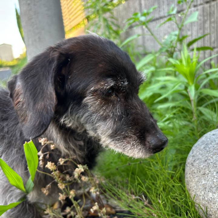 Fb582e9c ac40 4ad4 ab93 d0af0e214ae0 1750029241546