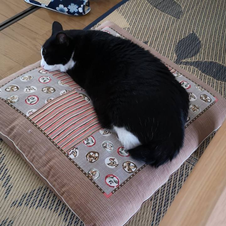 Fb582f55 f874 4575 8843 d41c4d876085 1663303208233