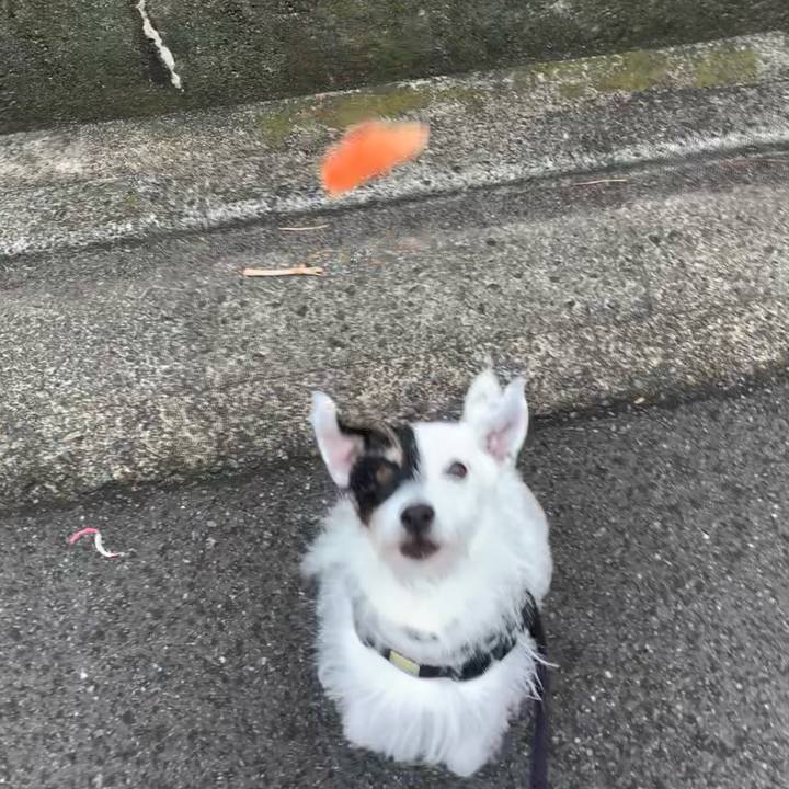 Fb584069 0ed9 413e bc09 d9a67fe71d83 1754870647757