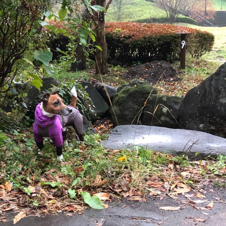 Fb588593 8e08 4320 b409 1f42842d33d4 1573426782487