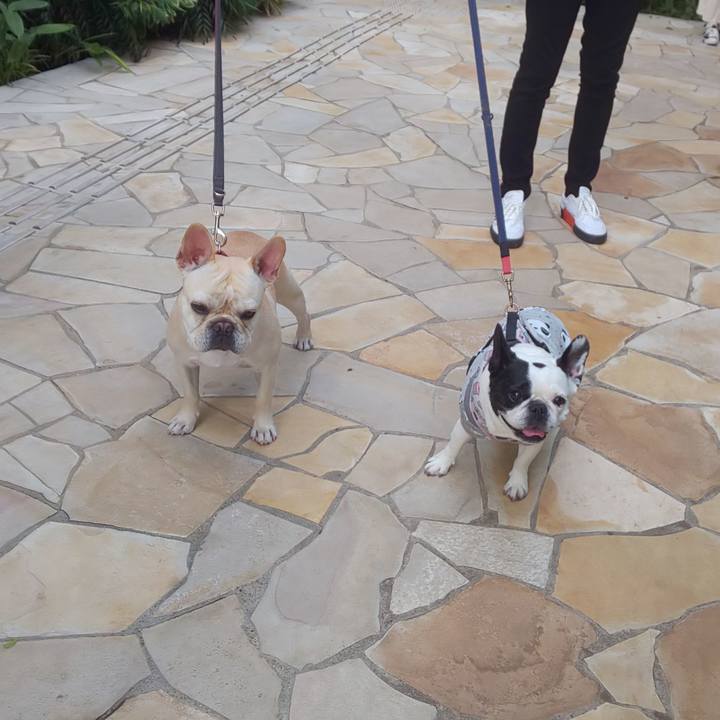 Fb589ae3 e334 4059 ae2c 9ef21e87c7ff 1653257230901