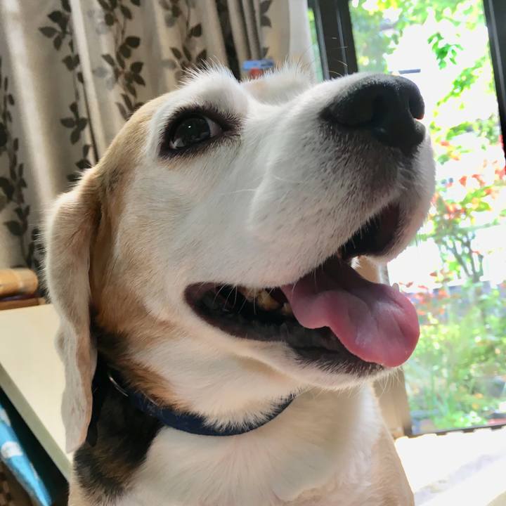 Fb58b9e6 38de 436d bc97 e28aec5b4fd0 1556948297472