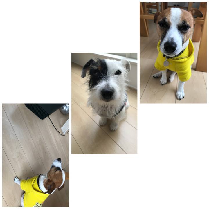 Fb5935ad 2bd4 480e 8361 33272b69b0e5 1509241416888